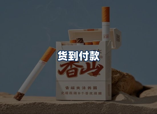 专业团队办公环境